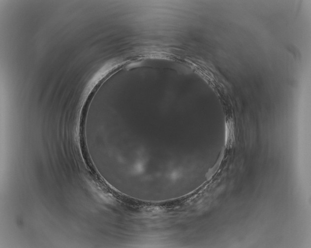 X0000111520195200907141514