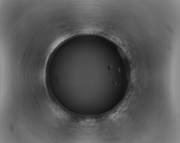 X0000111520196200907141514