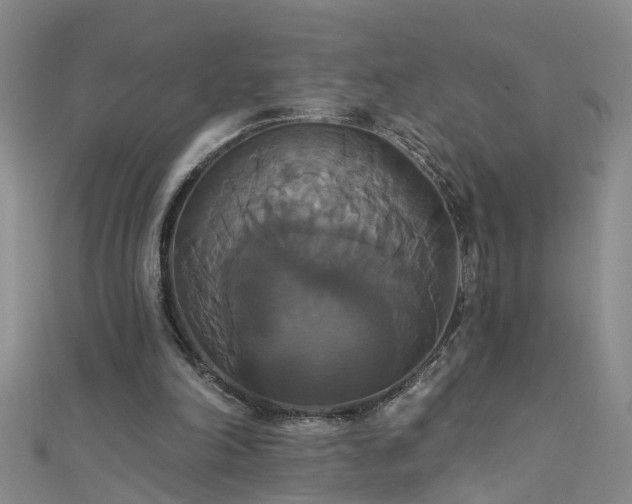 X0000111520198200907141514