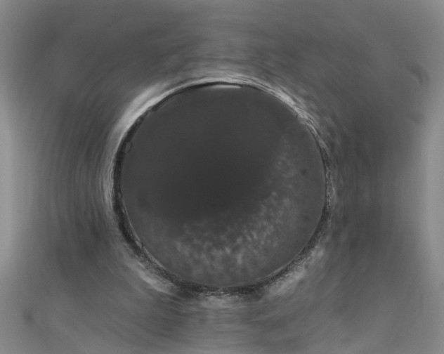 X0000111520199200907141514