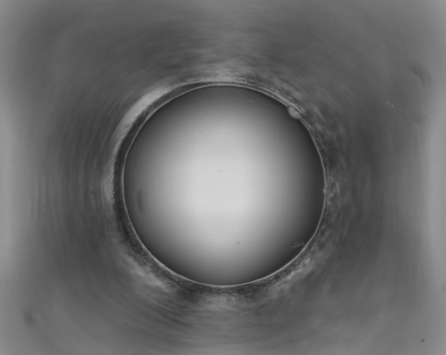 X0000111520200200907141514