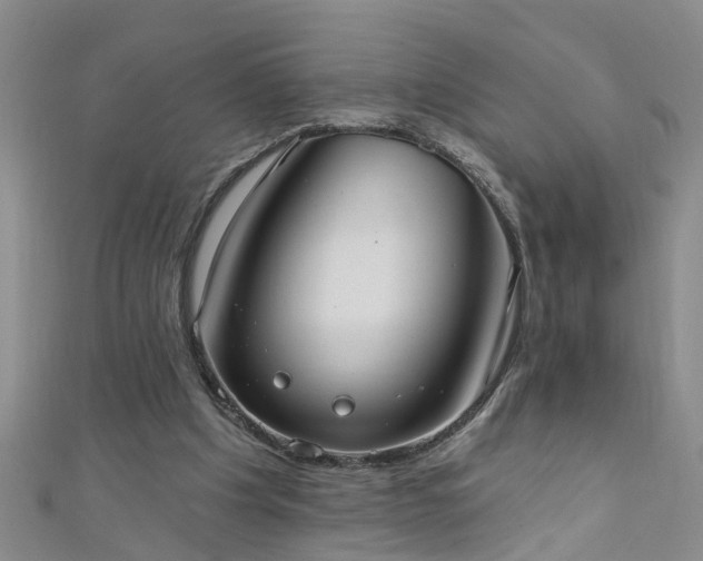 X0000111520201200907141514