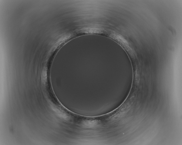 X0000111520202200907141514