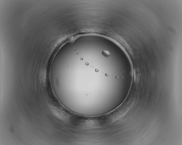 X0000111520204200907141514