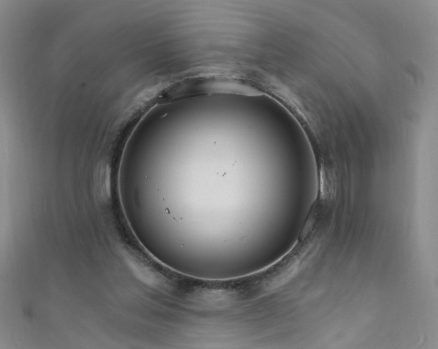 X0000111520205200907141514