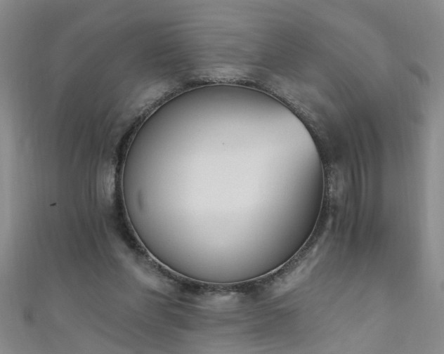 X0000111520206200907141514