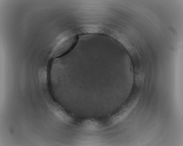 X0000111520207200907141514