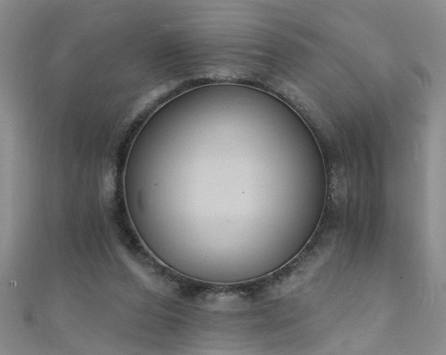 X0000111520208200907141514