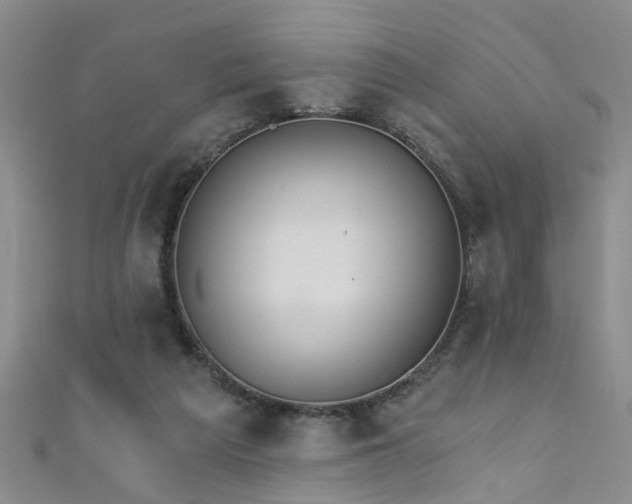 X0000111520209200907141514