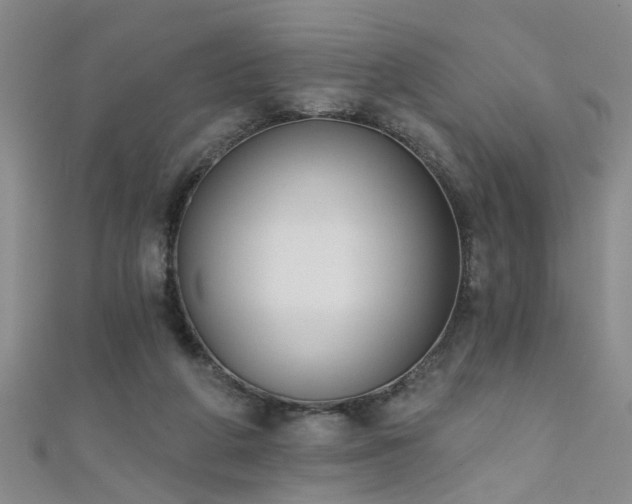 X0000111520210200907141514