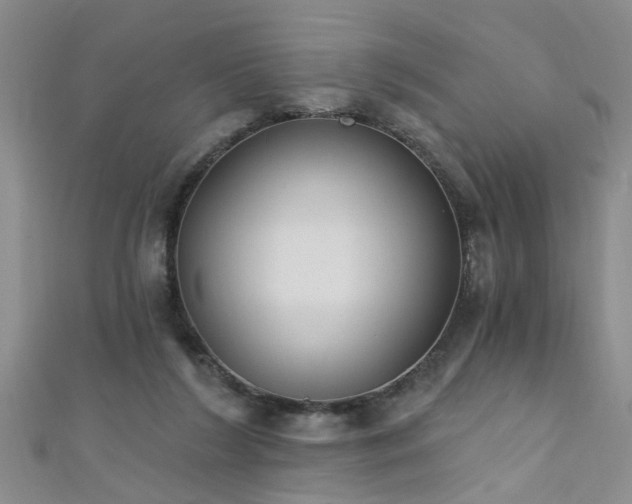X0000111520212200907141514
