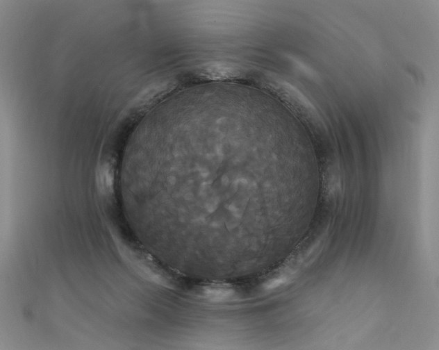 X0000111520214200907141514