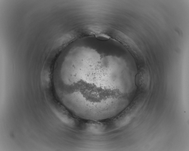 X0000111520215200907141514