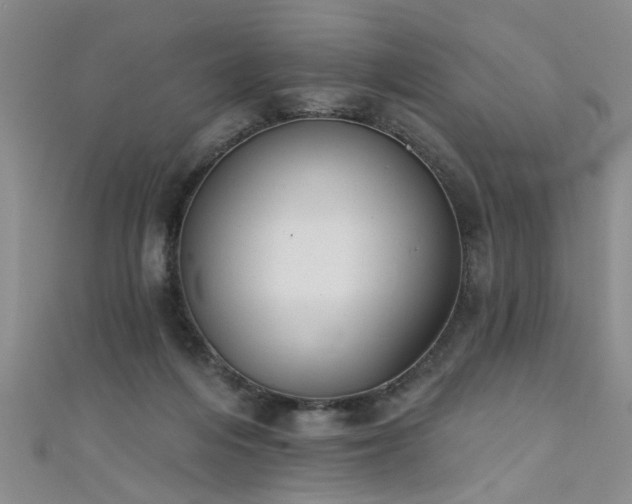 X0000111520216200907141514