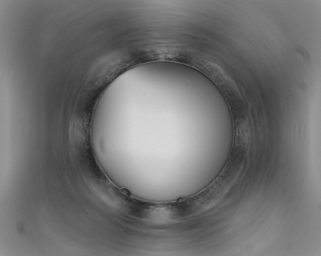 X0000111520218200907141514