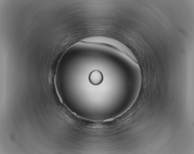 X0000111520219200907141514
