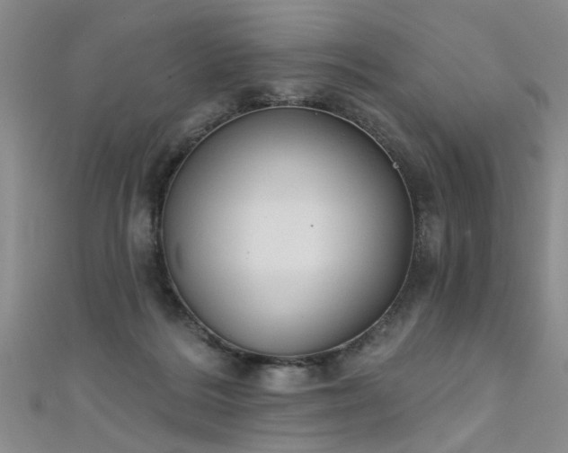X0000111520220200907141514