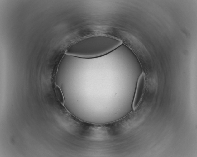 X0000111520221200907141514