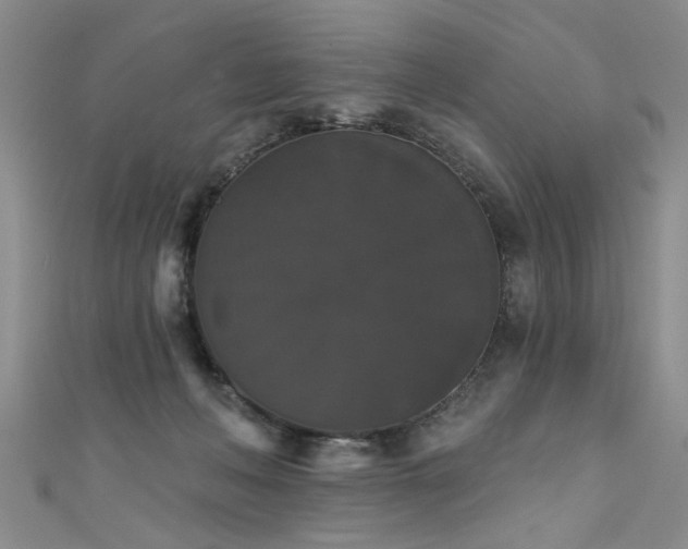 X0000111520222200907141514