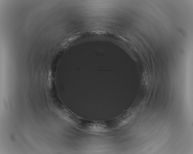 X0000111520223200907141514