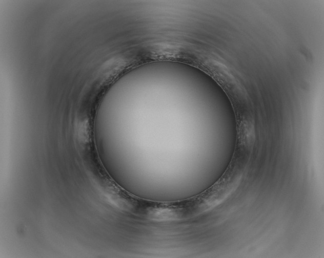 X0000111520224200907141514