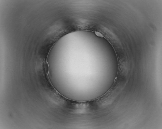 X0000111520225200907141514