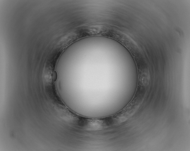 X0000111520226200907141514