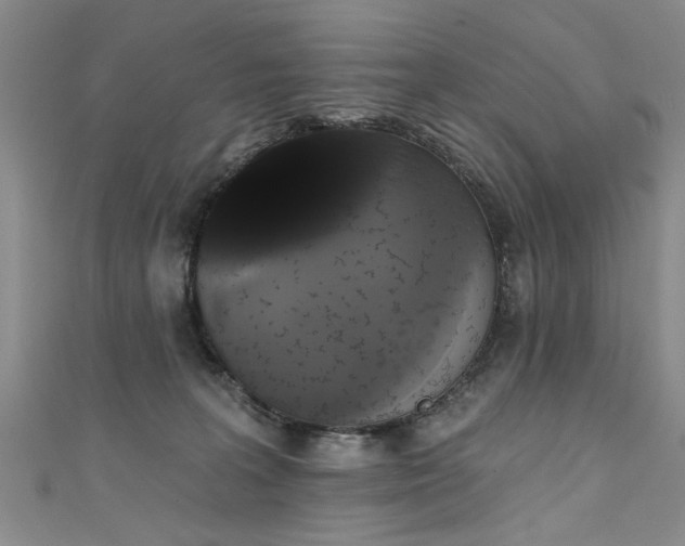 X0000111520227200907141514