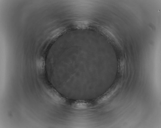 X0000111520228200907141514