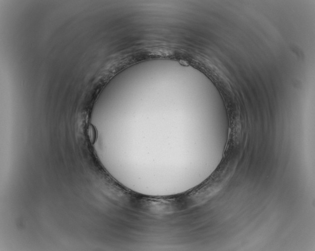 X0000111520229200907141514