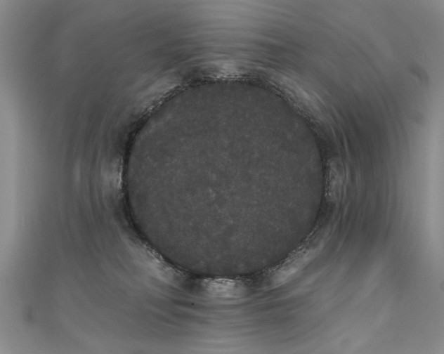 X0000111520230200907141514