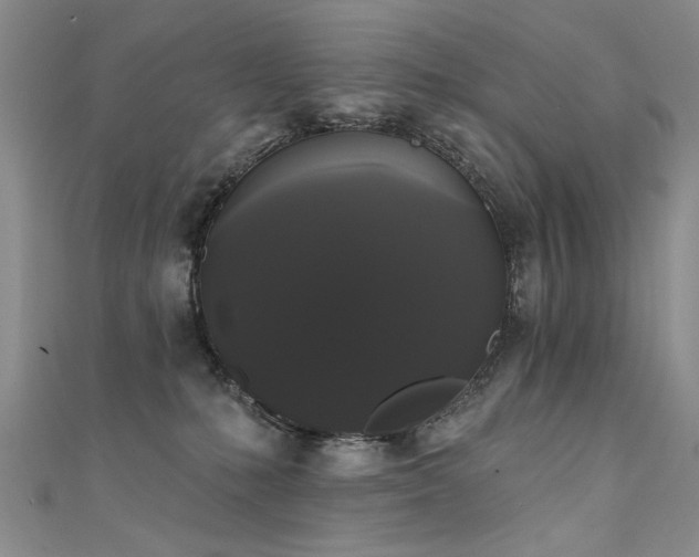 X0000111520231200907141514