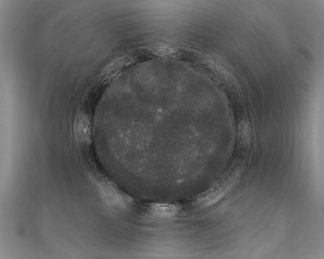 X0000111520234200907141514