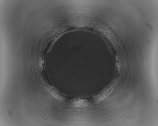 X0000111520235200907141514