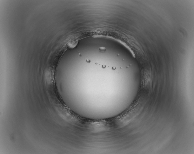 X0000111520236200907141514
