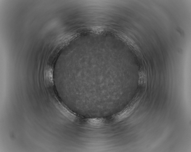 X0000111520238200907141514