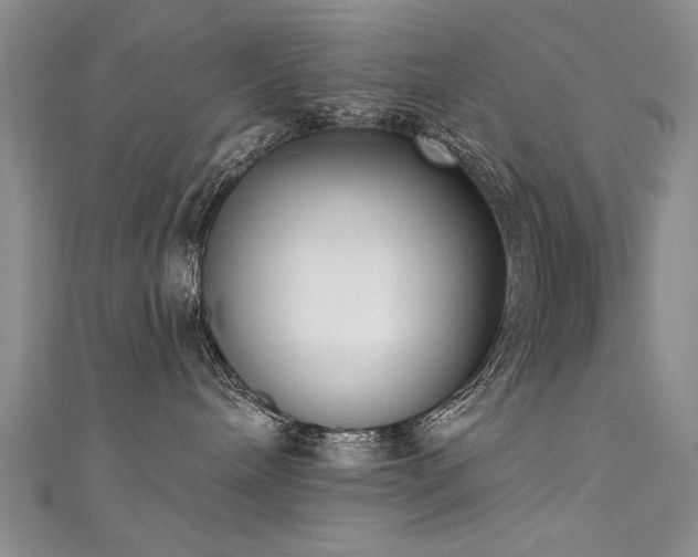 X0000111520240200907141514