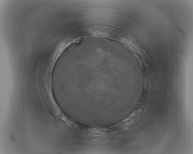 X0000111520241200907141513