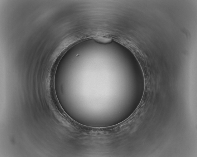 X0000111520242200907141513