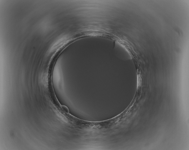X0000111520243200907141513
