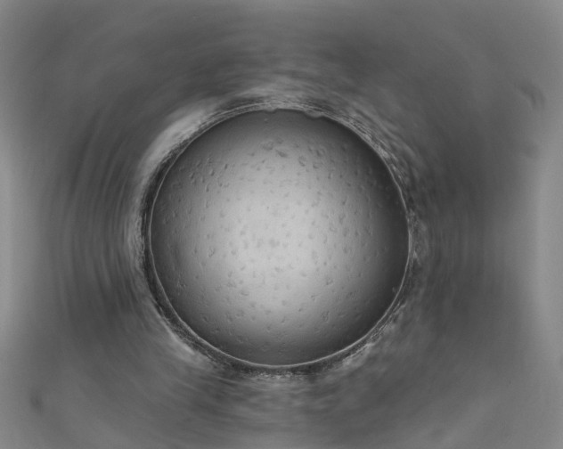X0000111520245200907141513