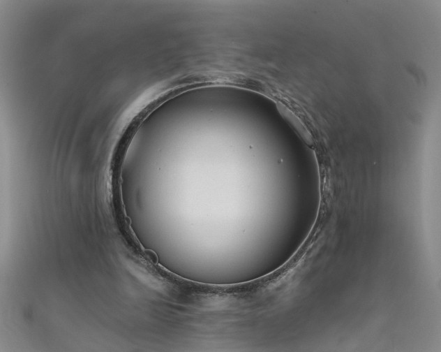 X0000111520246200907141513
