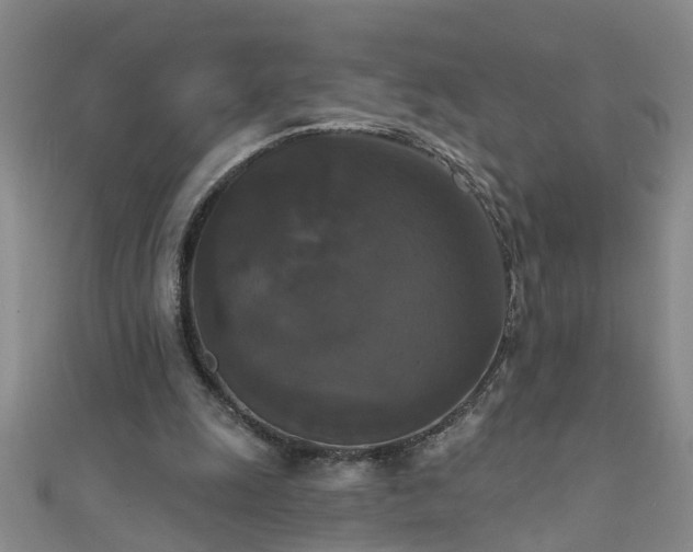 X0000111520247200907141513