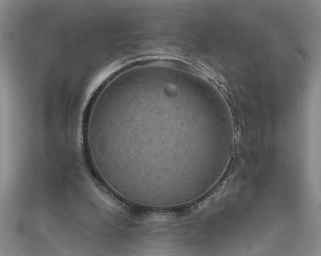 X0000111520248200907141513