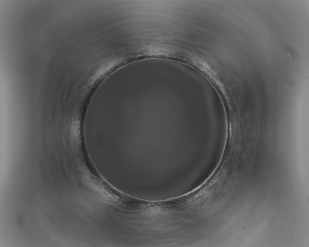 X0000111520249200907141513