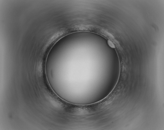 X0000111520250200907141513