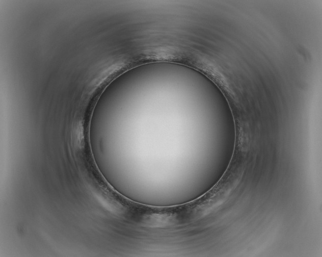 X0000111520251200907141513