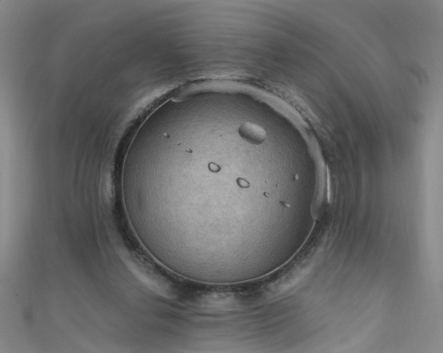 X0000111520252200907141513