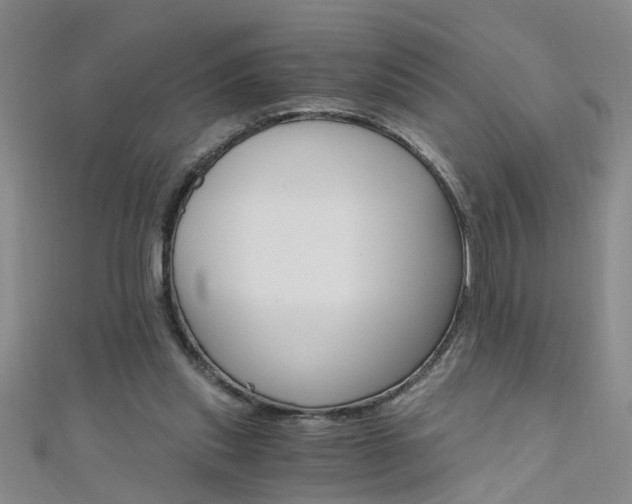 X0000111520253200907141513