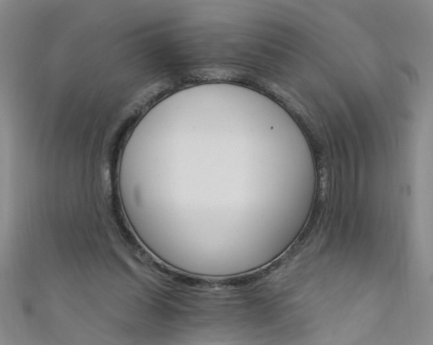 X0000111520254200907141513